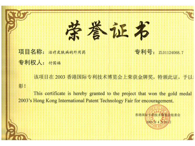香港国际专利技术博览会金牌奖