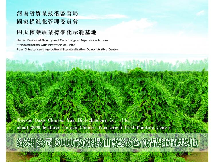 铁棍山药种植基地