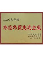 外经外贸先进企业
