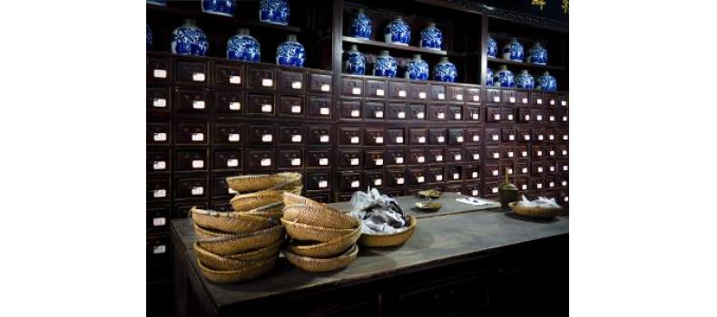 浅谈中医药的现状和发展前景