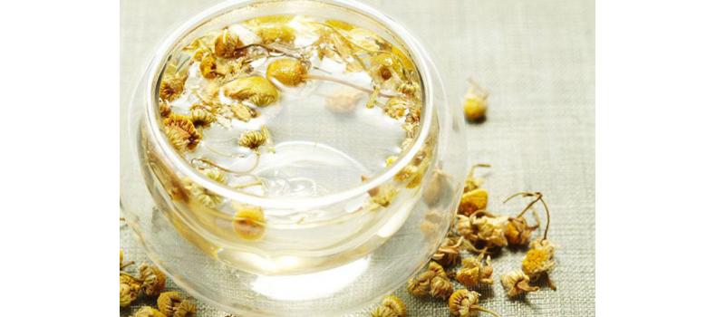 平肝明目——菊花养生